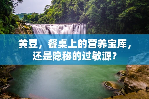 黄豆，餐桌上的营养宝库，还是隐秘的过敏源？