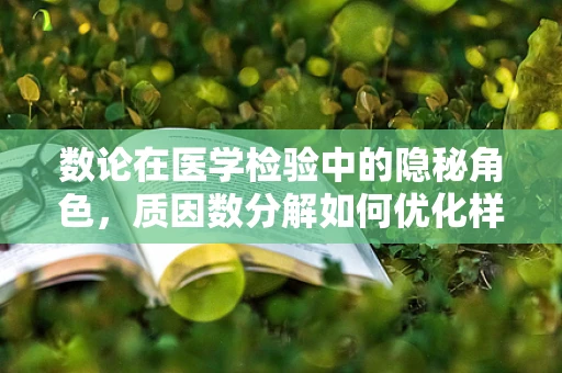 数论在医学检验中的隐秘角色，质因数分解如何优化样本分类？