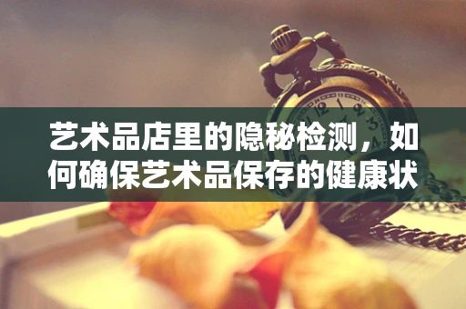 艺术品店里的隐秘检测，如何确保艺术品保存的健康状态？