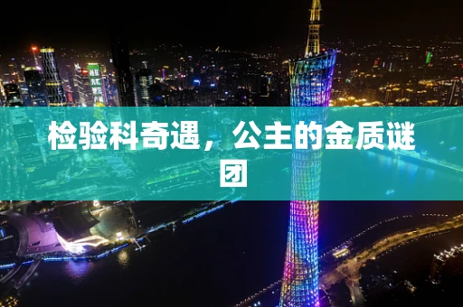 检验科奇遇，公主的金质谜团