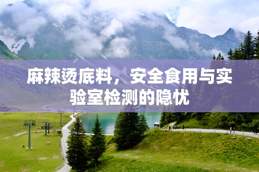 麻辣烫底料，安全食用与实验室检测的隐忧