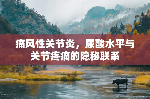 痛风性关节炎，尿酸水平与关节疼痛的隐秘联系