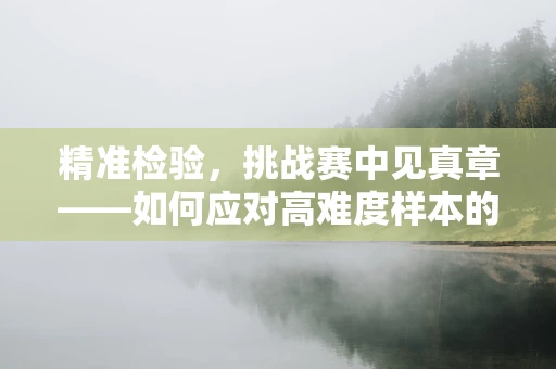 精准检验，挑战赛中见真章——如何应对高难度样本的挑战？