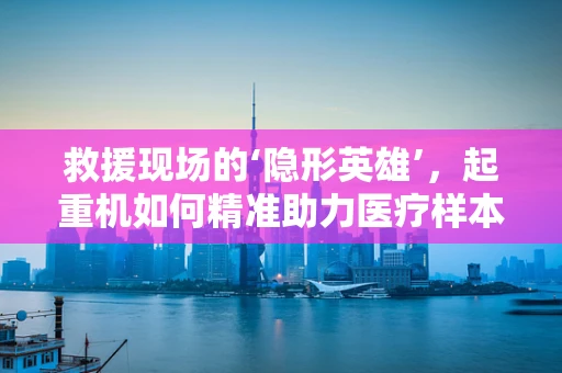 救援现场的‘隐形英雄’，起重机如何精准助力医疗样本转运？
