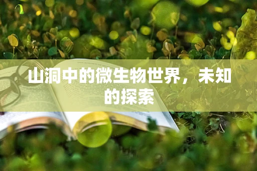 山洞中的微生物世界，未知的探索