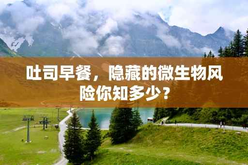 吐司早餐，隐藏的微生物风险你知多少？