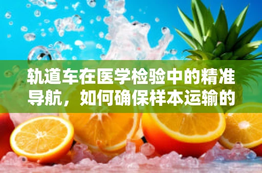 轨道车在医学检验中的精准导航，如何确保样本运输的万无一失？