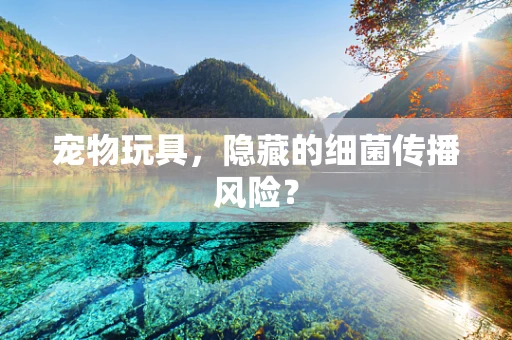 宠物玩具，隐藏的细菌传播风险？