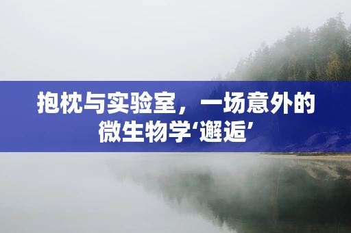 抱枕与实验室，一场意外的微生物学‘邂逅’