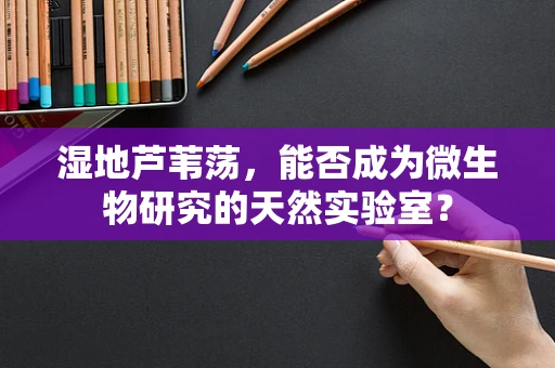 湿地芦苇荡，能否成为微生物研究的天然实验室？