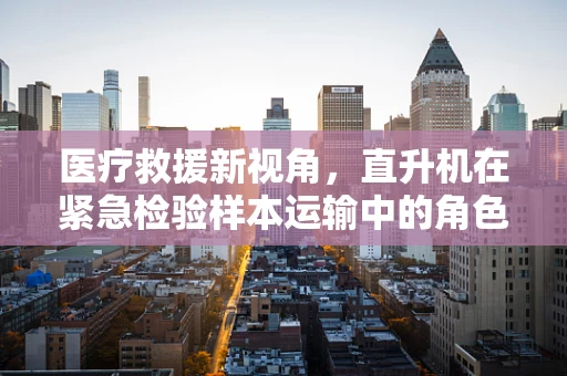 医疗救援新视角，直升机在紧急检验样本运输中的角色与挑战