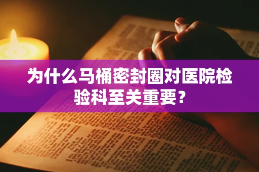 为什么马桶密封圈对医院检验科至关重要？