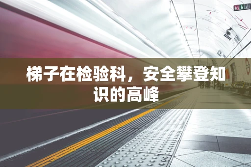 梯子在检验科，安全攀登知识的高峰