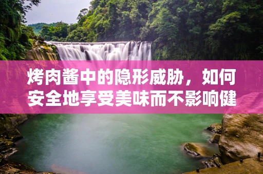 烤肉酱中的隐形威胁，如何安全地享受美味而不影响健康？