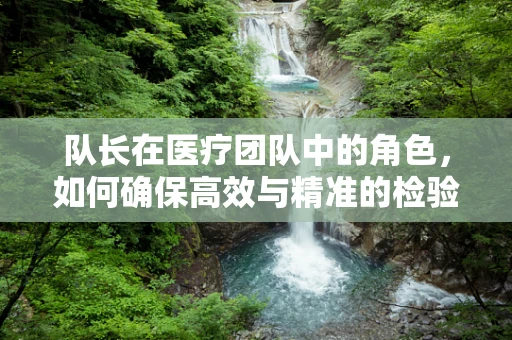 队长在医疗团队中的角色，如何确保高效与精准的检验结果？