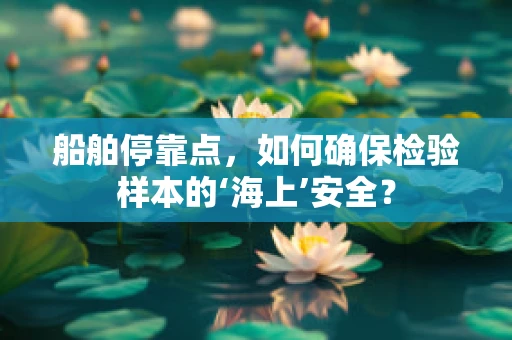 船舶停靠点，如何确保检验样本的‘海上’安全？