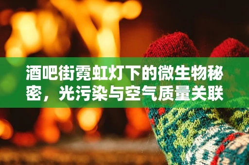 酒吧街霓虹灯下的微生物秘密，光污染与空气质量关联探究
