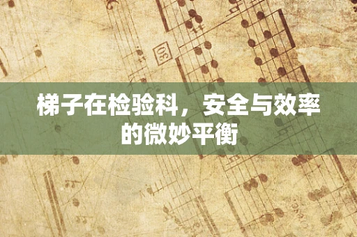 梯子在检验科，安全与效率的微妙平衡