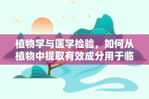 植物学与医学检验，如何从植物中提取有效成分用于临床？