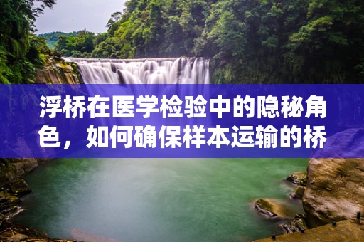 浮桥在医学检验中的隐秘角色，如何确保样本运输的桥梁安全无虞？