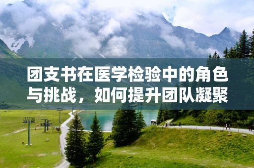团支书在医学检验中的角色与挑战，如何提升团队凝聚力与专业素养？