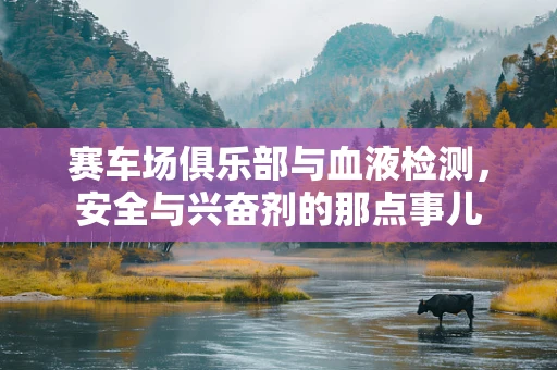 赛车场俱乐部与血液检测，安全与兴奋剂的那点事儿