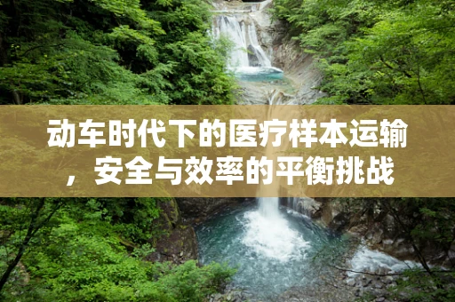 动车时代下的医疗样本运输，安全与效率的平衡挑战