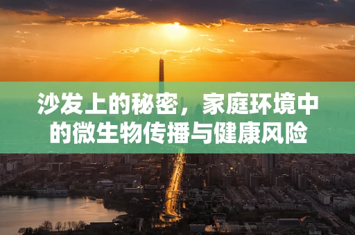 沙发上的秘密，家庭环境中的微生物传播与健康风险
