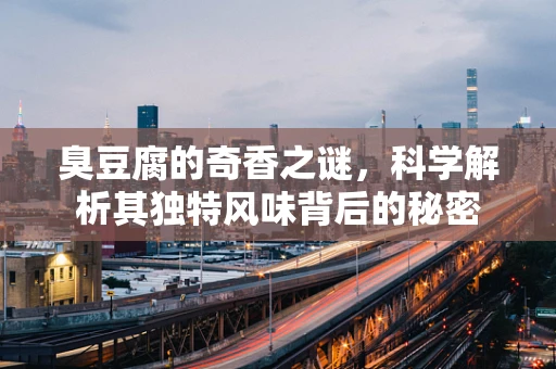 臭豆腐的奇香之谜，科学解析其独特风味背后的秘密