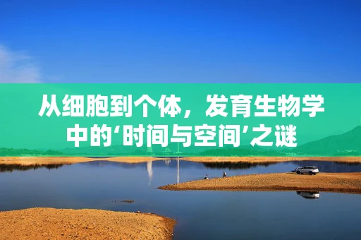 从细胞到个体，发育生物学中的‘时间与空间’之谜