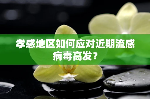 孝感地区如何应对近期流感病毒高发？