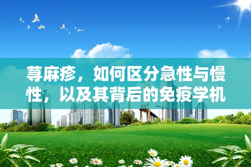 荨麻疹，如何区分急性与慢性，以及其背后的免疫学机制？