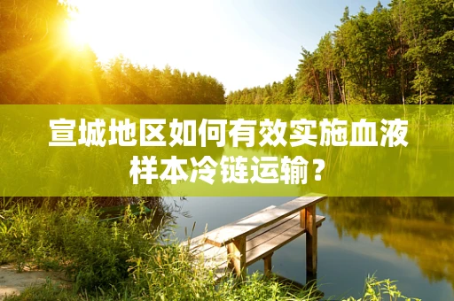 宣城地区如何有效实施血液样本冷链运输？