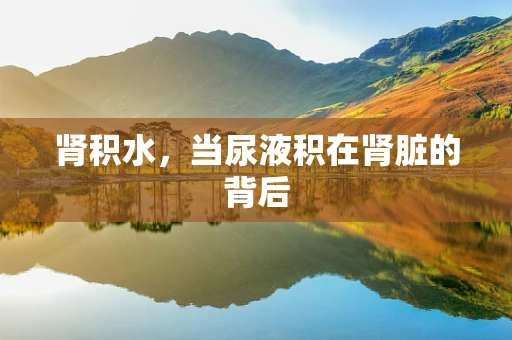肾积水，当尿液积在肾脏的背后