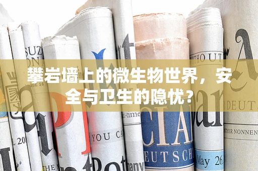 攀岩墙上的微生物世界，安全与卫生的隐忧？