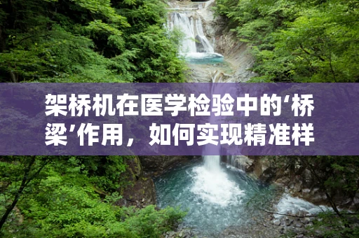 架桥机在医学检验中的‘桥梁’作用，如何实现精准样本传输？