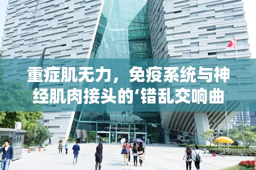 重症肌无力，免疫系统与神经肌肉接头的‘错乱交响曲’