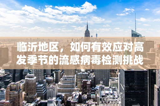 临沂地区，如何有效应对高发季节的流感病毒检测挑战？