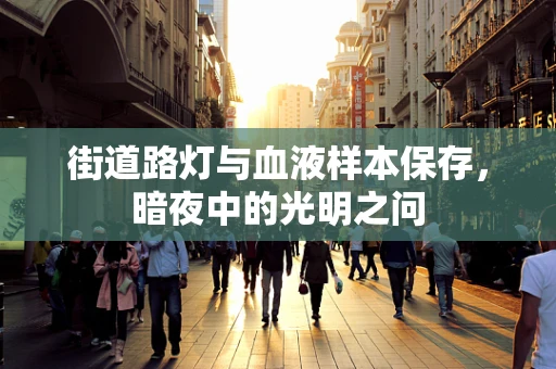 街道路灯与血液样本保存，暗夜中的光明之问