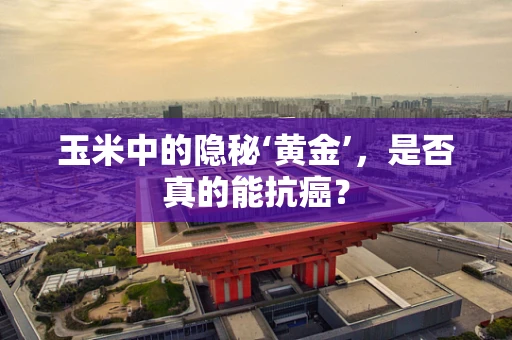 玉米中的隐秘‘黄金’，是否真的能抗癌？