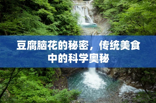 豆腐脑花的秘密，传统美食中的科学奥秘