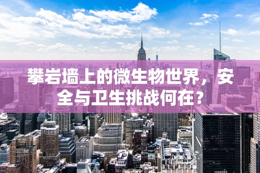 攀岩墙上的微生物世界，安全与卫生挑战何在？
