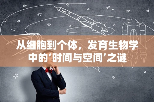 从细胞到个体，发育生物学中的‘时间与空间’之谜