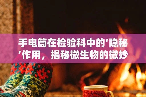 手电筒在检验科中的‘隐秘’作用，揭秘微生物的微妙世界
