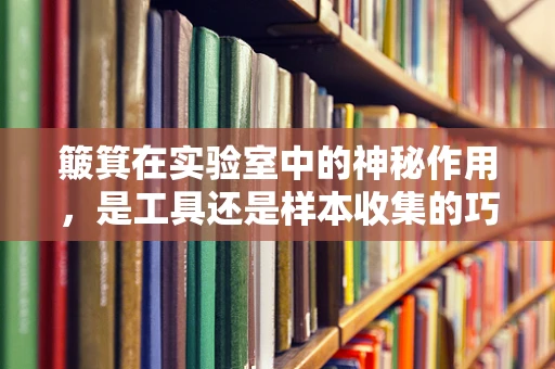簸箕在实验室中的神秘作用，是工具还是样本收集的巧妙设计？