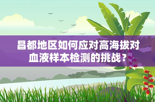 昌都地区如何应对高海拔对血液样本检测的挑战？