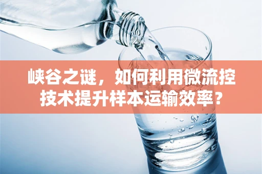 峡谷之谜，如何利用微流控技术提升样本运输效率？