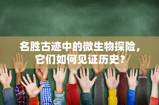 名胜古迹中的微生物探险，它们如何见证历史？
