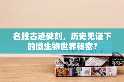 名胜古迹碑刻，历史见证下的微生物世界秘密？