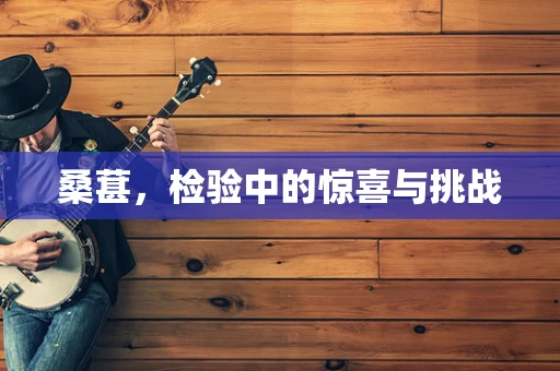 桑葚，检验中的惊喜与挑战
